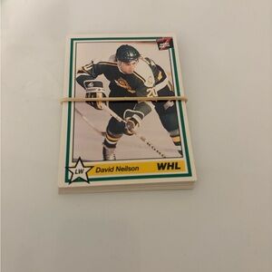 Prince Albert Raiders Hockey Trading Cards Bundle